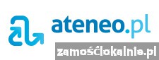 Ateneo.pl dostarczamy precyzyjnego ruchu na strony internetowe