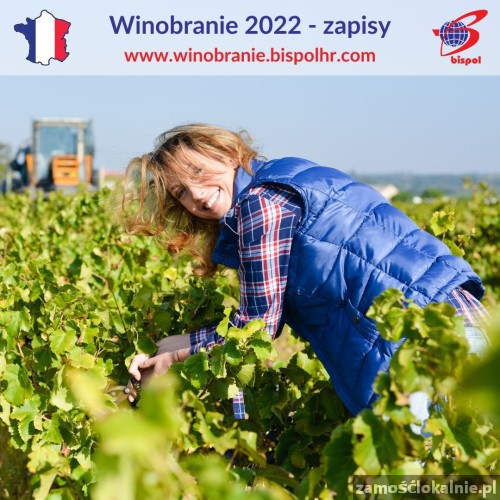 Winobranie Francja 2022