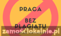 Zawodowe Pisanie i Redagowanie Prac - Bez Plagiatu