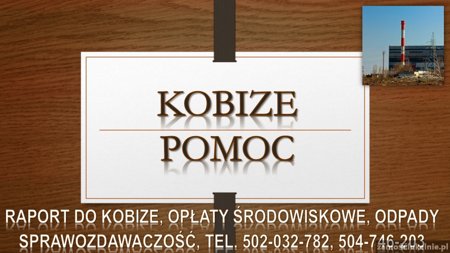 3_jaka_cena_za_raport_do_kobize.jpg