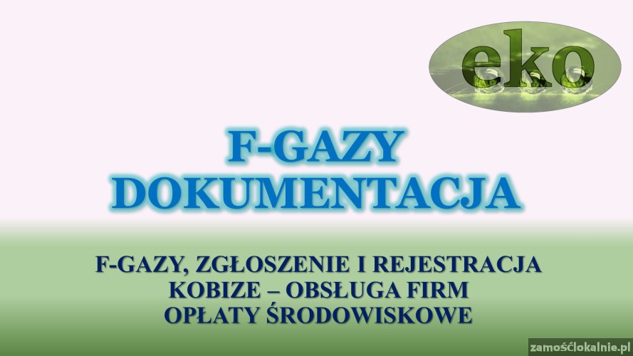 7_czynnik_chlodniczy_gazy_cro_i_bds_raport_sprawozdanie_cena.jpg
