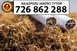 Znakomitej jakości TYTOŃ 80PLN/1KG