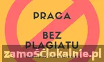 Zawodowe Pisanie i Redagowanie Prac