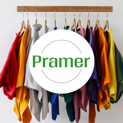 logo_pramer_3.png