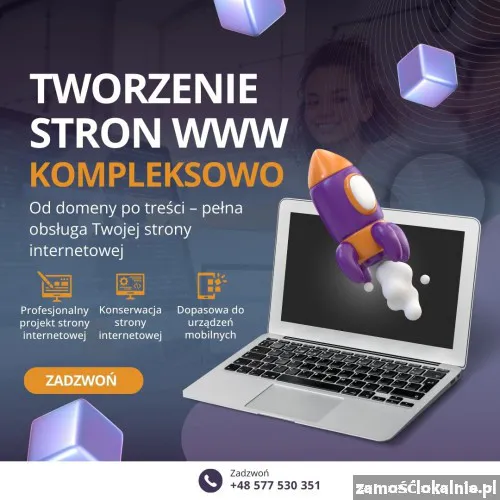 projektowanie_stron_www.webp