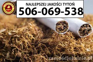 Bardzo Dobrej Jakości TYTOŃ 85 PLN/1KG