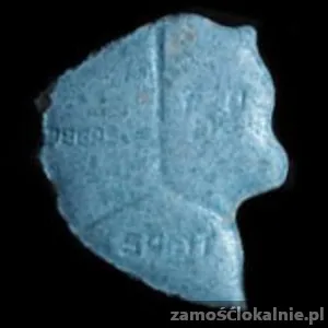 eski-kupisz-na-xtcalien-zapraszamy-39350-sprzedam.webp