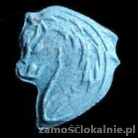 Eski kupisz na Xtcalien - Zapraszamy