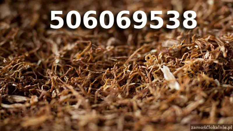 Bardzo Dobrej Jakości TYTOŃ 85 PLN/1KG