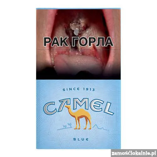 papierosy-camel-sklep-z-papierosami-papierosekcom-39403-sprzedam.webp