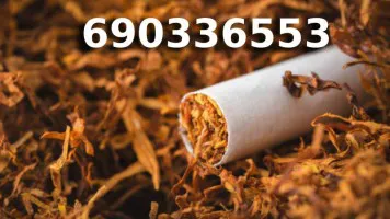 Bardzo Dobrej Jakości tani TYTOŃ na wagę 85 PLN/1KG